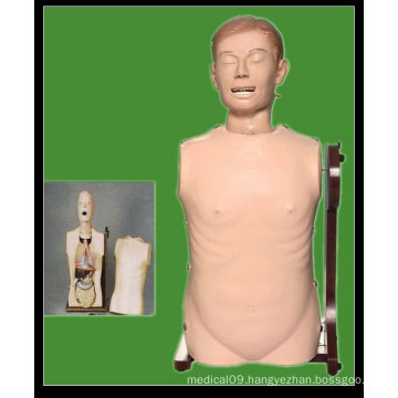 HR/H81 Advanced Nasogastric Tube and Wound Care Models,Medical Simulation